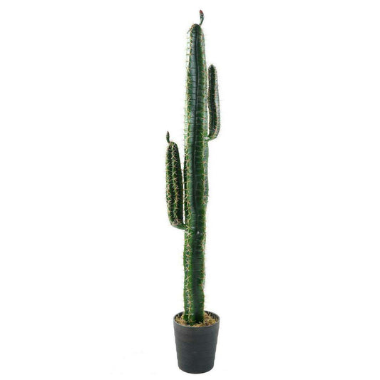 Cactus artificiel Cereus - Plante artificielle pour intérieur - H.160cm vert SHOW