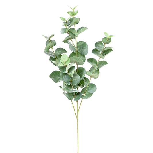 Eucalyptus artificiel gunnii spray - création de bouquet - H.70cm vert - F1