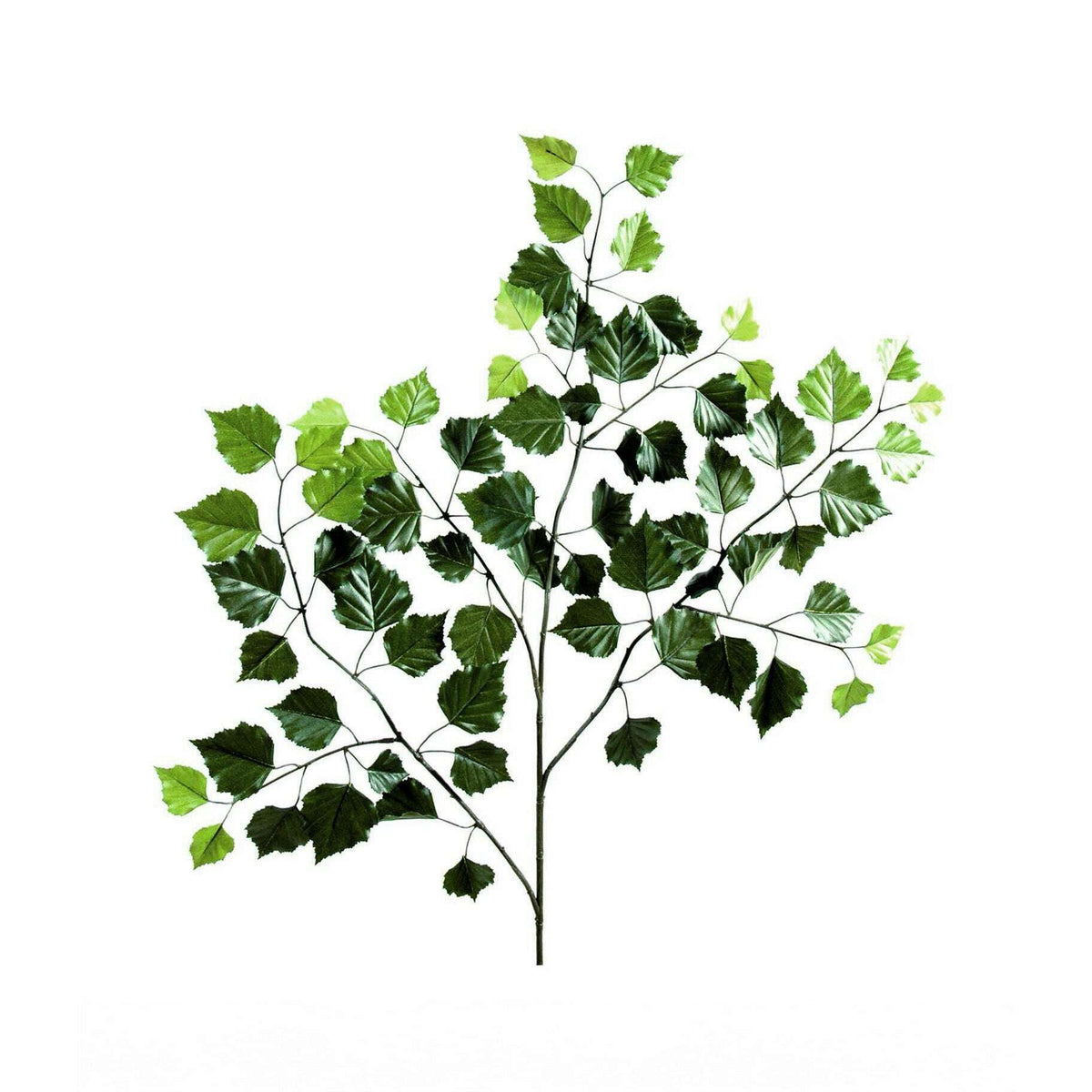 Feuillage artificiel Branche de bouleau New - composition florale - H.70cm vert C3