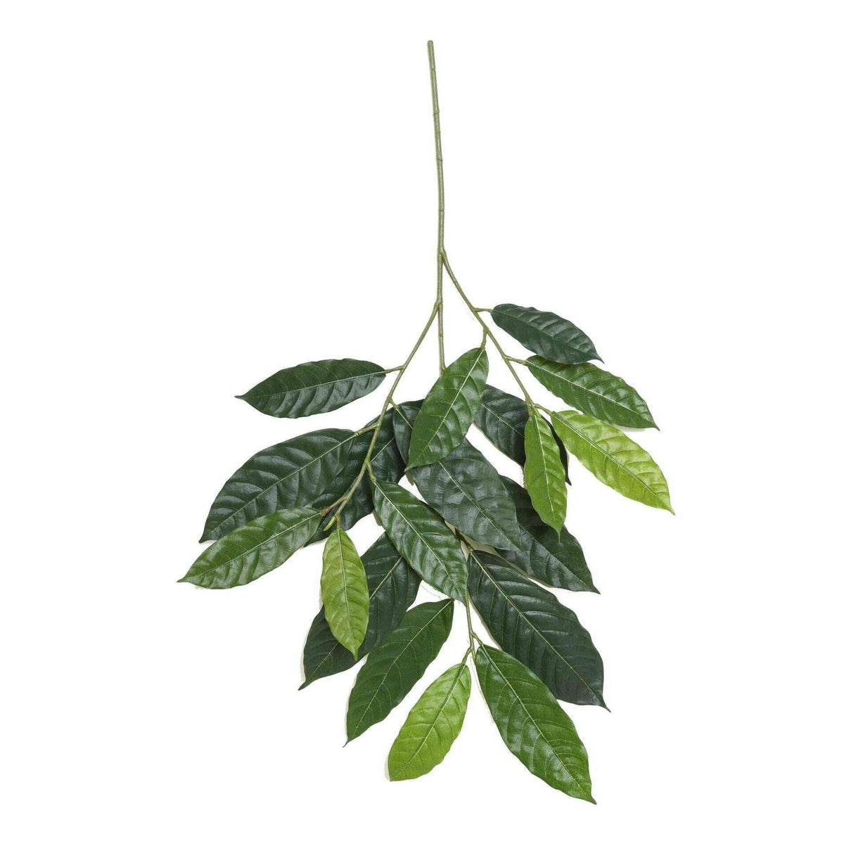 Feuillage artificiel branche de Cacao - décoration d'intérieur - H.85cm vert D3
