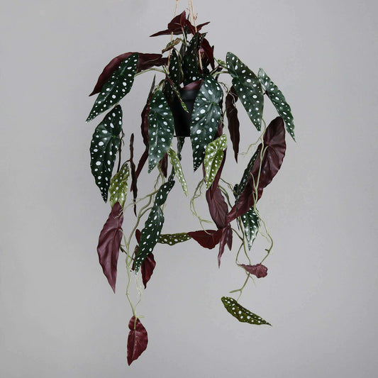 Feuillage artificiel chute de Bégonia Muculata en pot - plante retombante d'intérieur - H.90cm - P2-