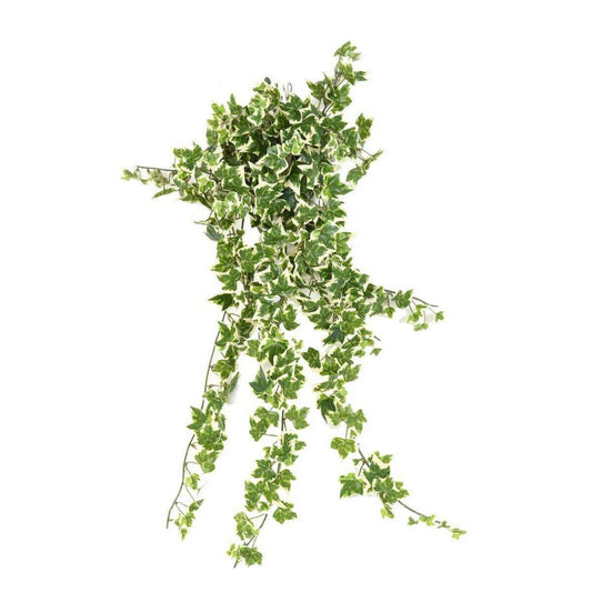 Feuillage artificiel chute de Lierre en piquet - 504 feuilles - H.60cm vert blanc - I4