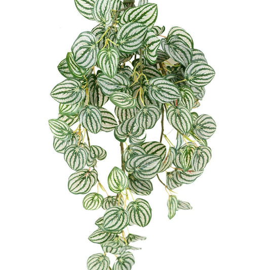 Feuillage artificiel chute de Peperomia - plante retombante - H.70cm panaché K4