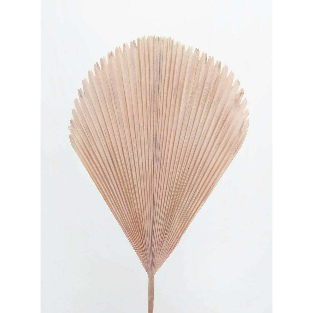 Feuillage artificiel feuille de palmier- décoration d'intérieur - H.60cm S2