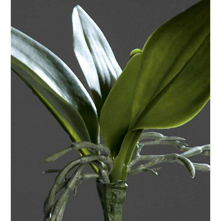 Feuillage artificiel Feuilles d'orchidée - plante en piquet - H.21cm vert - Q2