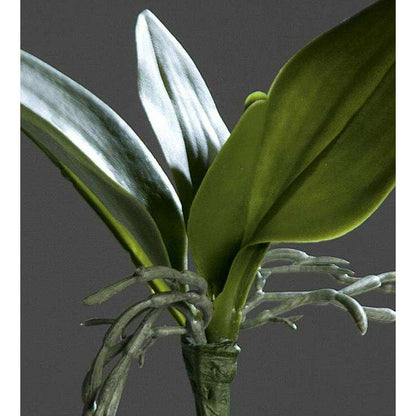 Feuillage artificiel Feuilles d'orchidée - plante en piquet - H.21cm vert - Q2
