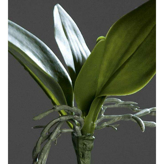 Feuillage artificiel Feuilles d'orchidée - plante en piquet - H.21cm vert - Q2