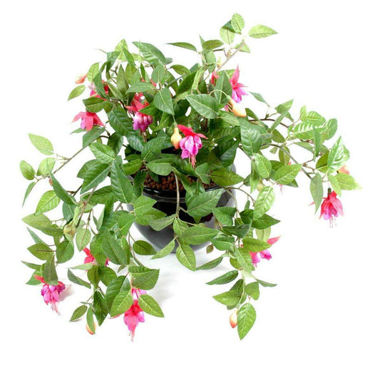 Feuillage artificiel fleuri Fuchsia en piquet - intérieur - H.25cm rose G1