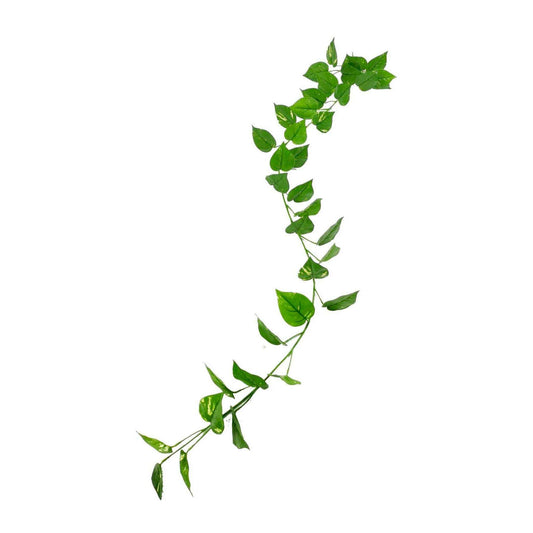 Feuillage artificiel Guirlande de Pothos - Tergal UV extérieur - H.190cm vert K1