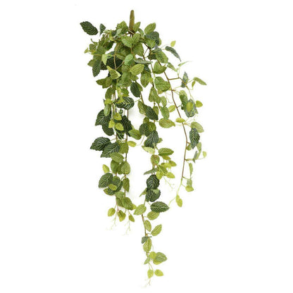 Feuillage artificiel piquet Fittonia - plante pour intérieur - H.80cm panaché - G1