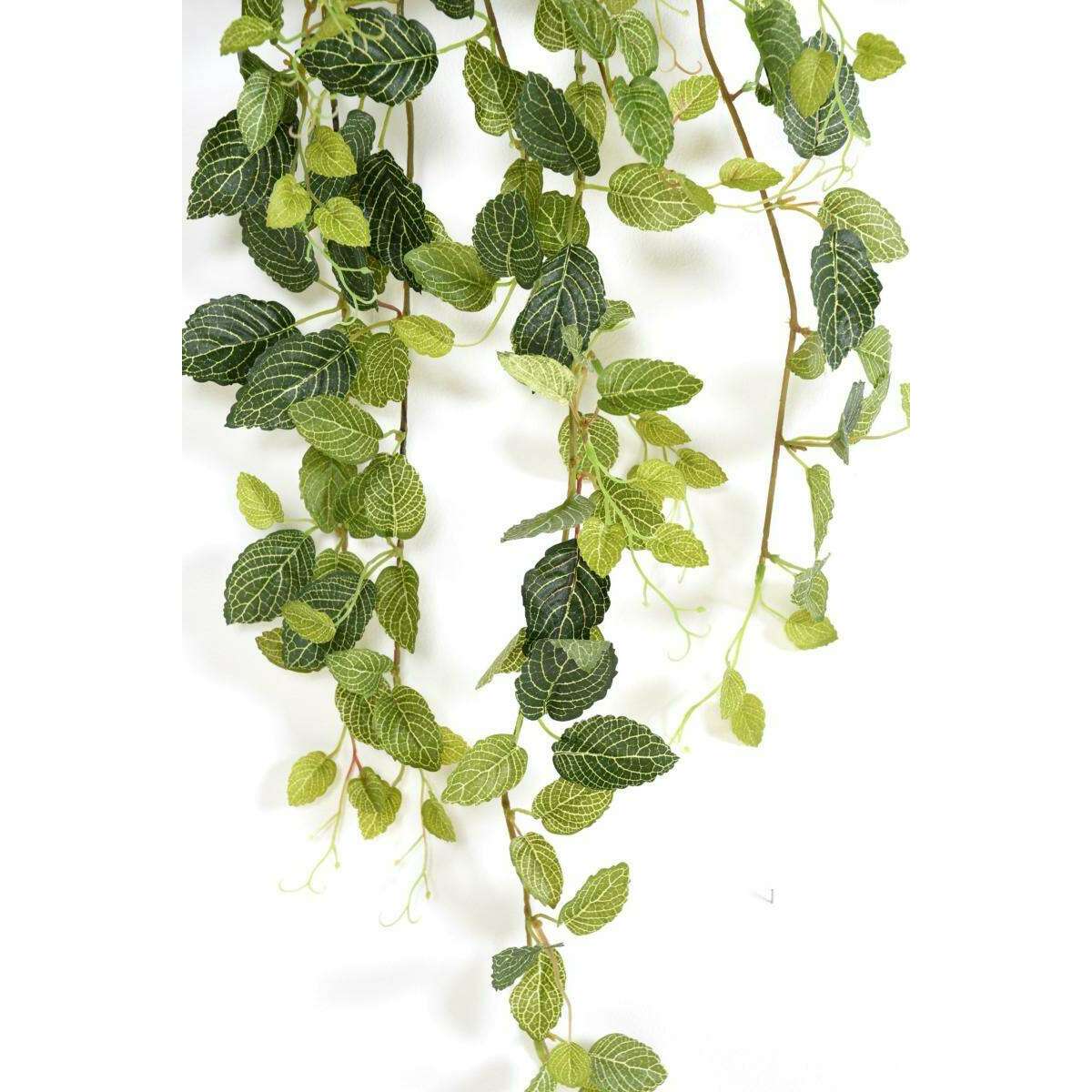Feuillage artificiel piquet Fittonia - plante pour intérieur - H.80cm panaché - G1