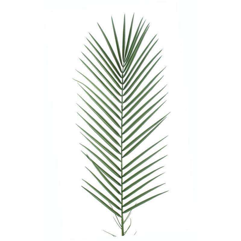 Feuille artificielle de Palmier Phoenix Palme plastique - extérieur - H.95cm L5