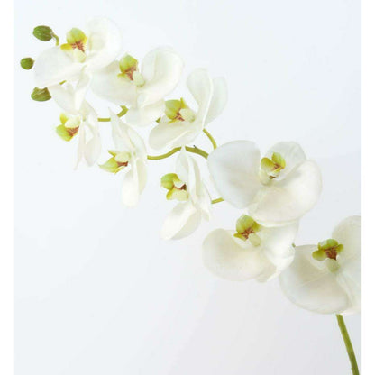 Fleur à la tige Orchidée artificielle Phalaenopsis - haute qualité - H.77 cm - K3