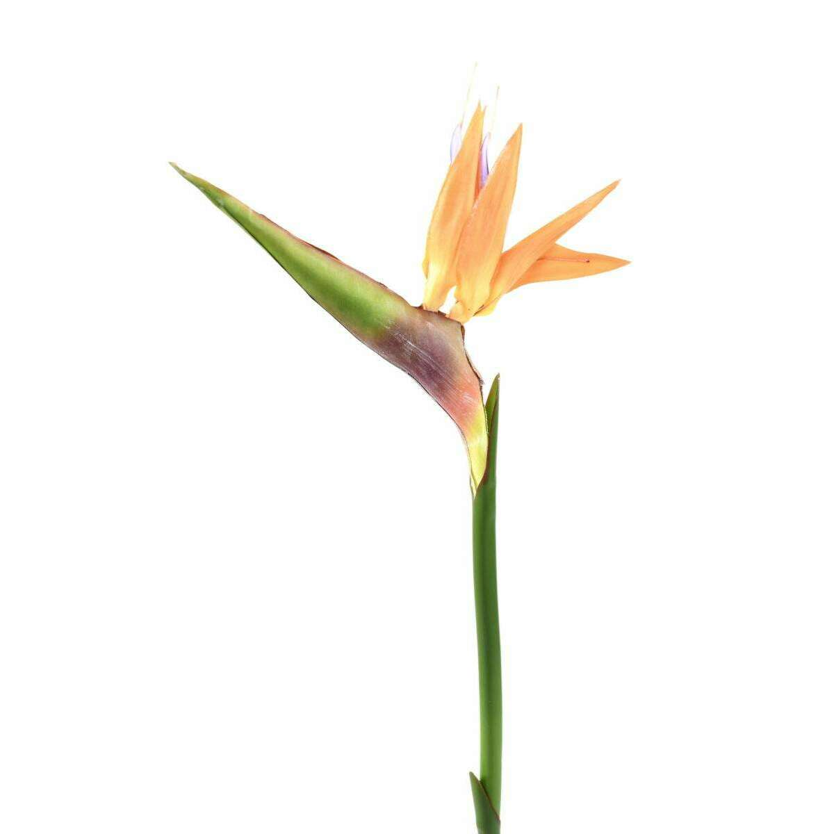 Fleur à la tige Strelitzia artificiel - décoration intérieure - H.80cm orange - M1