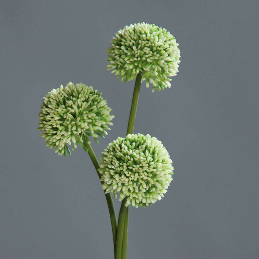 Fleur artificielle Allium ail d'ornement set de 3 - composition bouquet - H.46cm vert Z3