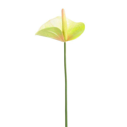 Fleur artificielle Anthurium - décoration florale - H.60cm vert - A4