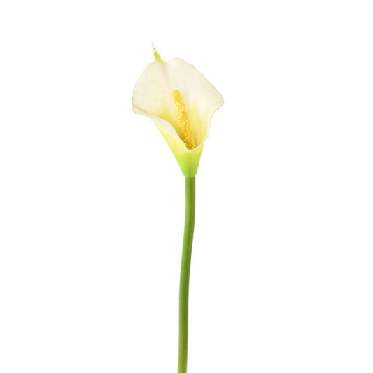 Fleur artificielle (ARUM) Arome - composition bouquet - H.44cm blanc A3