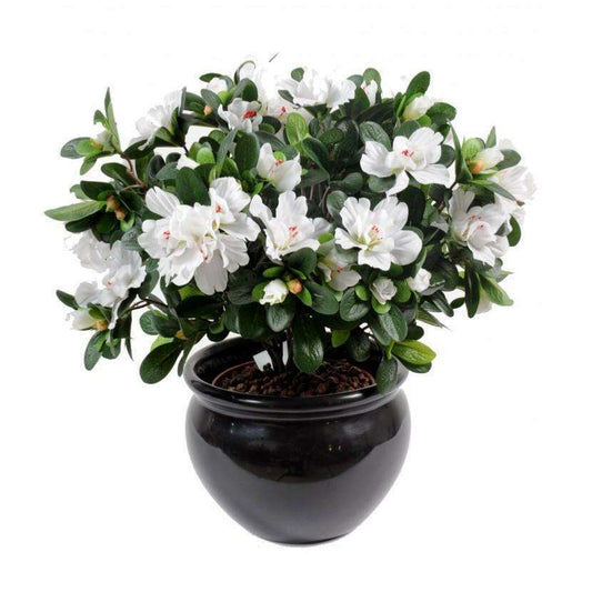 Fleur artificielle Azalée en piquet - intérieur - H.35cm blanc A3