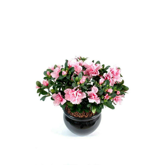 Fleur artificielle Azalée en piquet - intérieur - H.35cm rose A3