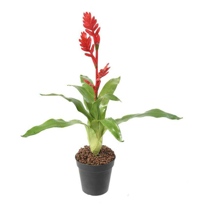 Fleur artificielle Bromélia 4 fleurs - décoration d'intérieur - H.55cm rouge B2