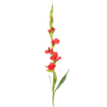 Fleur artificielle Glaïeul - création de bouquet - H.100cm rouge-H1