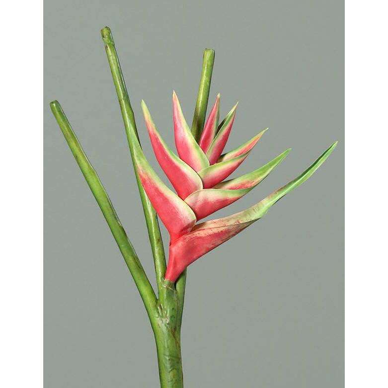 Fleur artificielle Héliconia bec de perroquet - fresh touch haute qualité - H.126cm rose - P2