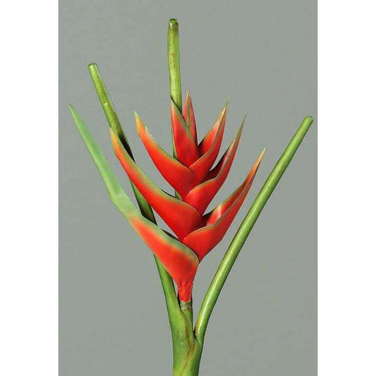 Fleur artificielle Héliconia bec de perroquet - fresh touch haute qualité - H.126cm rouge - P2