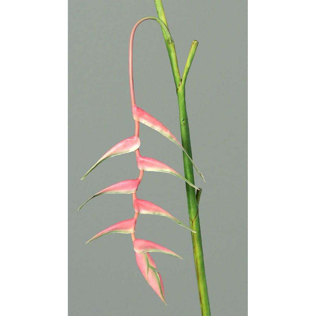 Fleur artificielle Héliconia pendula - fresh touch haute qualité - H.116cm rose