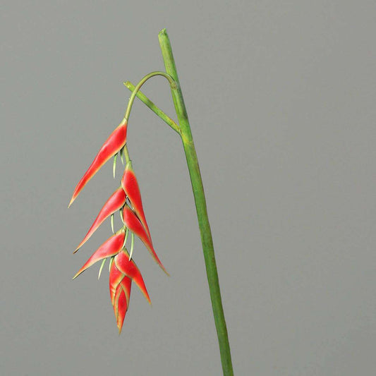 Fleur artificielle Héliconia pendula - fresh touch haute qualité - H.116cm rouge P2