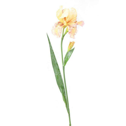 Fleur artificielle iris 2 fleurs - décoration d'intérieur - H. 70cm crème violet - I2