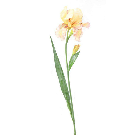 Fleur artificielle iris 2 fleurs - décoration d'intérieur - H. 70cm crème violet - I2