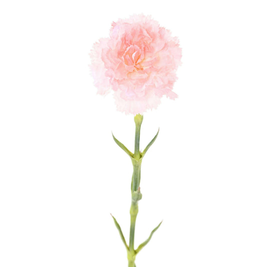 Fleur artificielle Oeillet - composition florale - H.55cm rose-K2