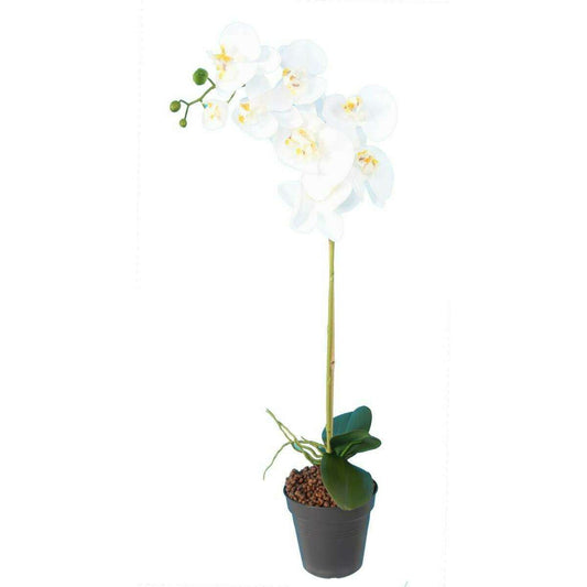 Fleur artificielle Orchidée Phalaenopsis - 8 fleurs et 4 boutons - H.76cm blanc - K4