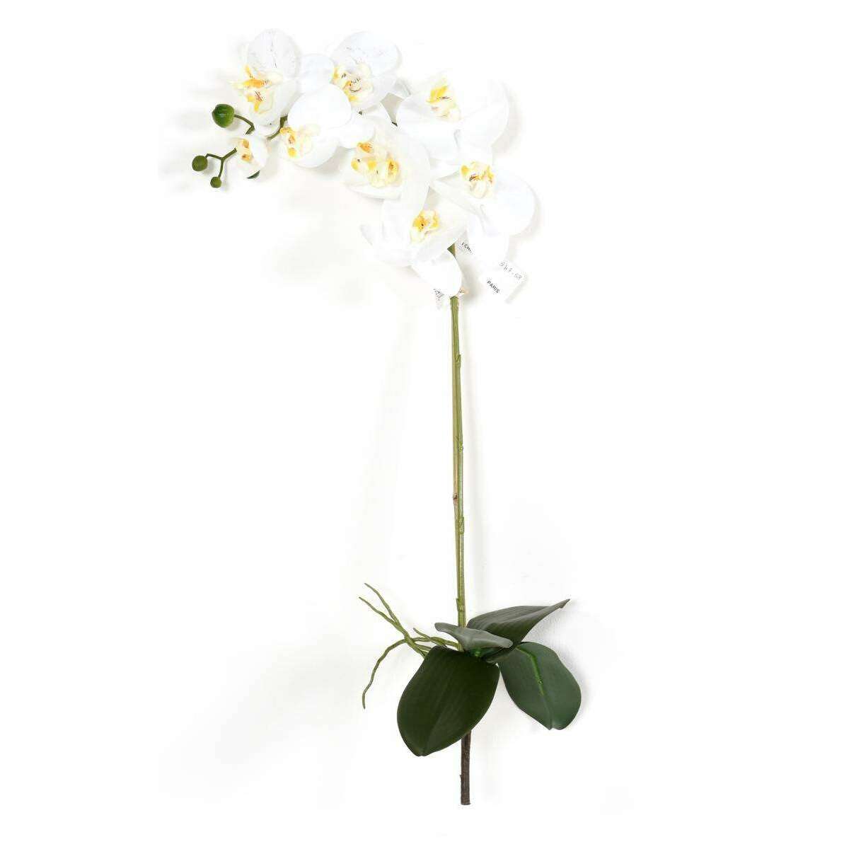 Fleur artificielle Orchidée Phalaenopsis - 8 fleurs et 4 boutons - H.76cm blanc - K4