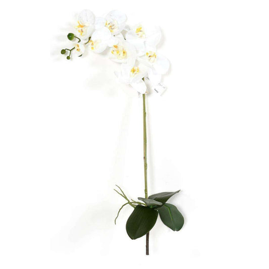 Fleur artificielle Orchidée Phalaenopsis - 8 fleurs et 4 boutons - H.76cm blanc - K4