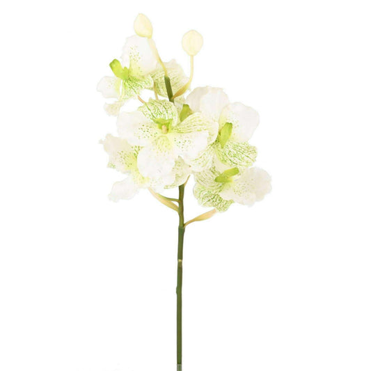 Fleur artificielle Orchidée Vanda Fresh Touch - haut de gamme - H.70cm blanc - O1