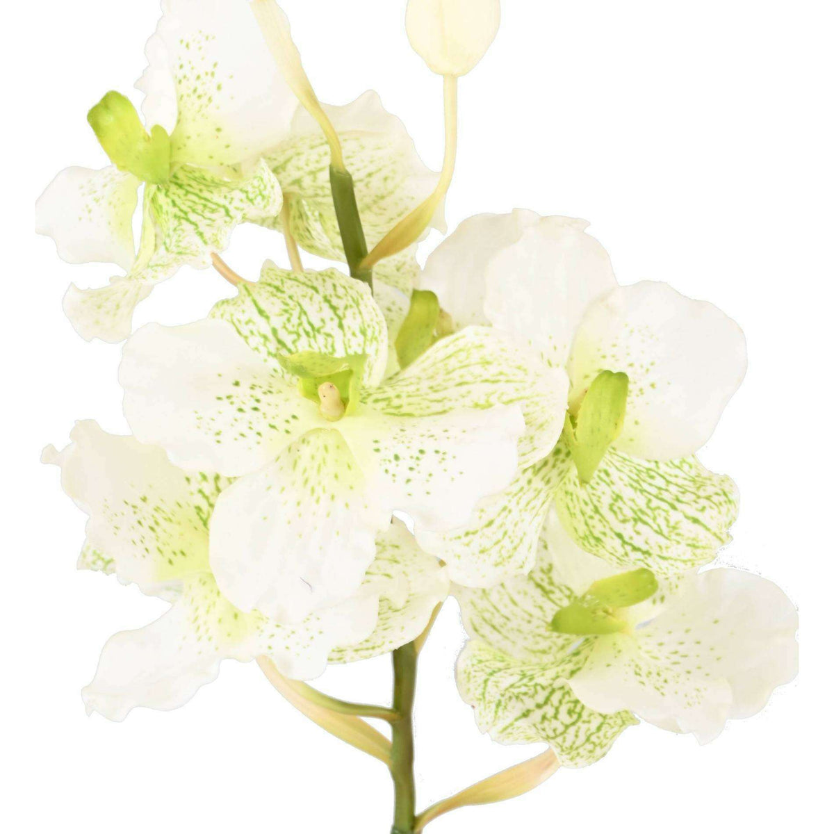 Fleur artificielle Orchidée Vanda Fresh Touch - haut de gamme - H.70cm blanc - O1