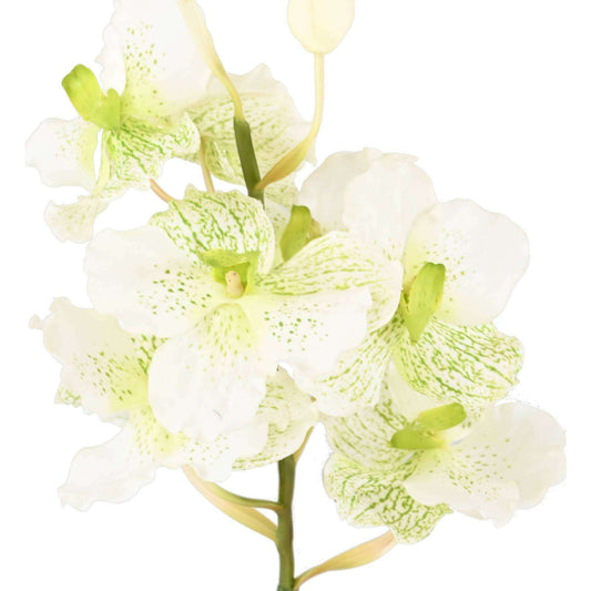 Fleur artificielle Orchidée Vanda Fresh Touch - haut de gamme - H.70cm blanc - O1