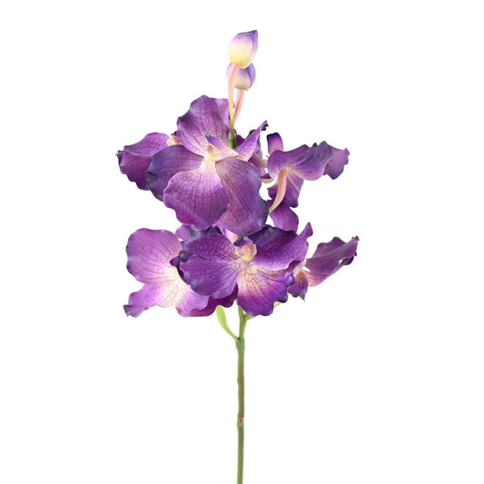Fleur artificielle Orchidée Vanda Fresh Touch - haut de gamme - H.70cm violet - O1