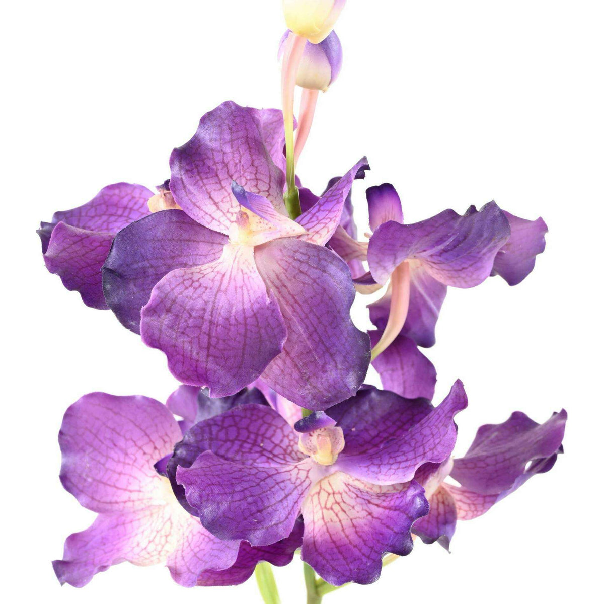 Fleur artificielle Orchidée Vanda Fresh Touch - haut de gamme - H.70cm violet - O1