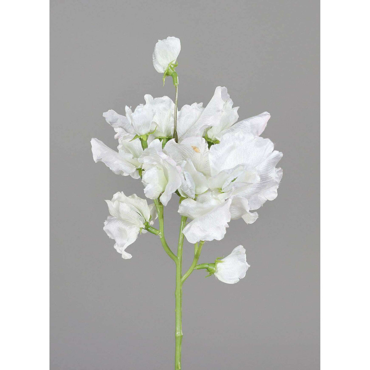 Fleur artificielle Pois de senteur - composition florale - H.46cm crème - P3