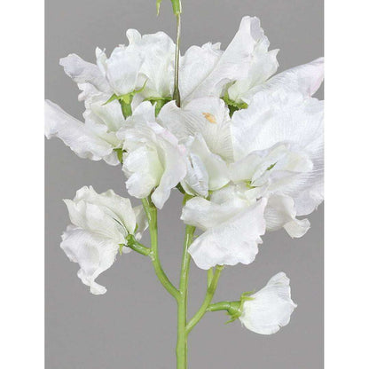 Fleur artificielle Pois de senteur - composition florale - H.46cm crème - P3
