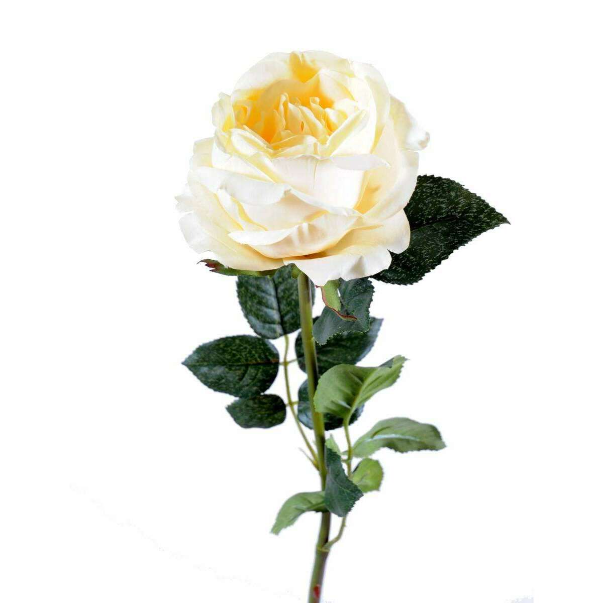 Fleur artificielle rose Anglaise - décoration d'intérieur - H.80cm crème M4