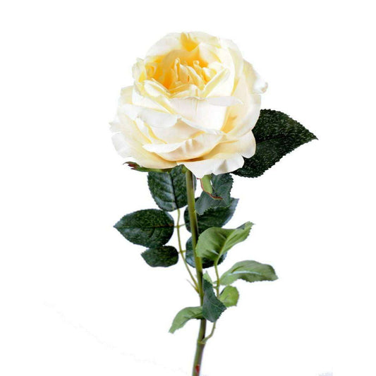 Fleur artificielle rose Anglaise - décoration d'intérieur - H.80cm crème M4
