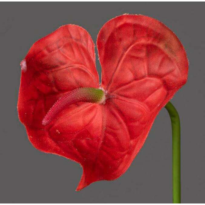 Fleur artificielle tige d'Anthurium - décoration florale - H.66cm rouge - R4