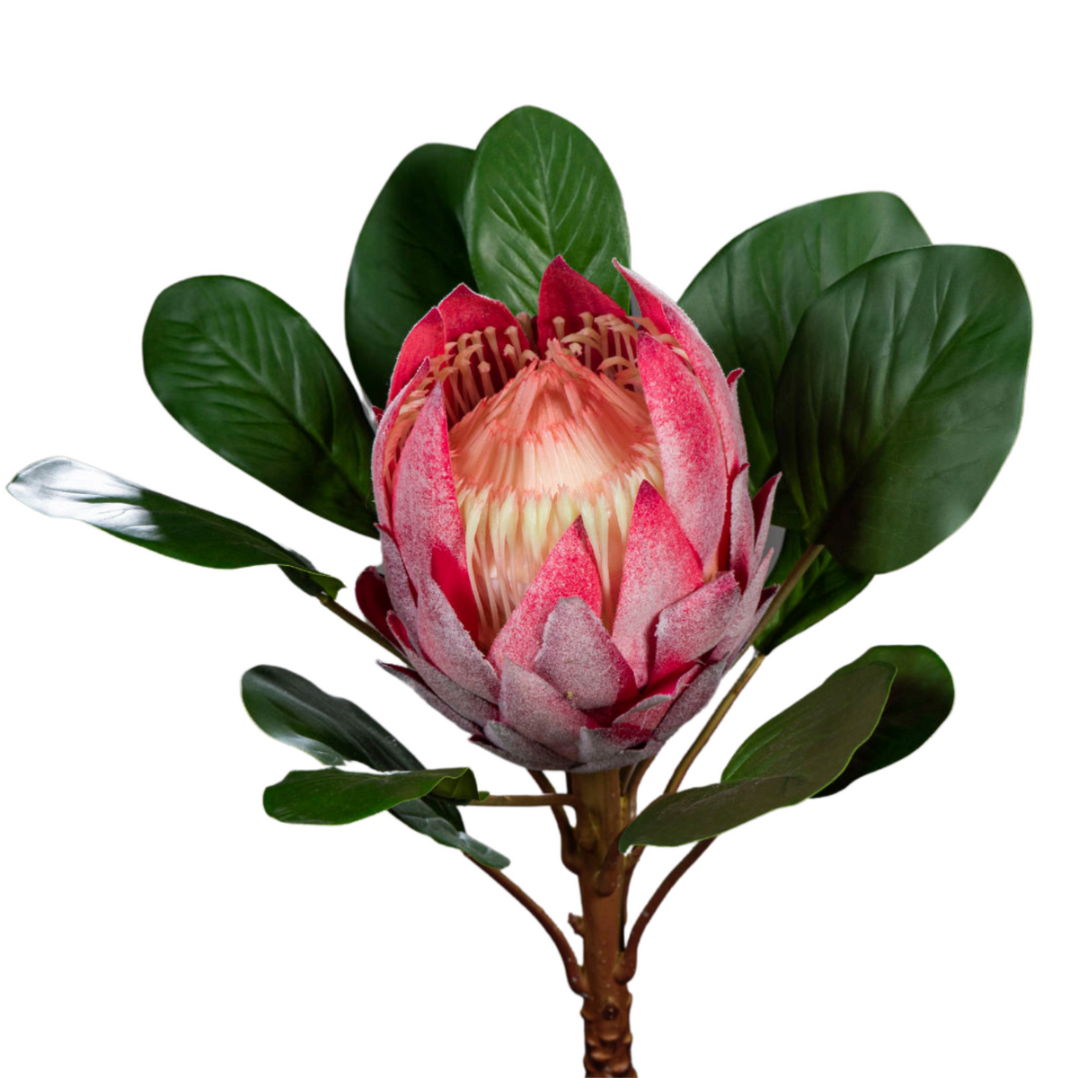 Fleur artificielle tige de Protea géante - création florale intérieur - H.80cm fuchsia R1
