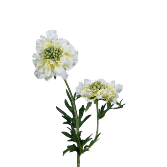 Fleur artificielle tige de Scabiosa - composition florale - H.55cm crème R2