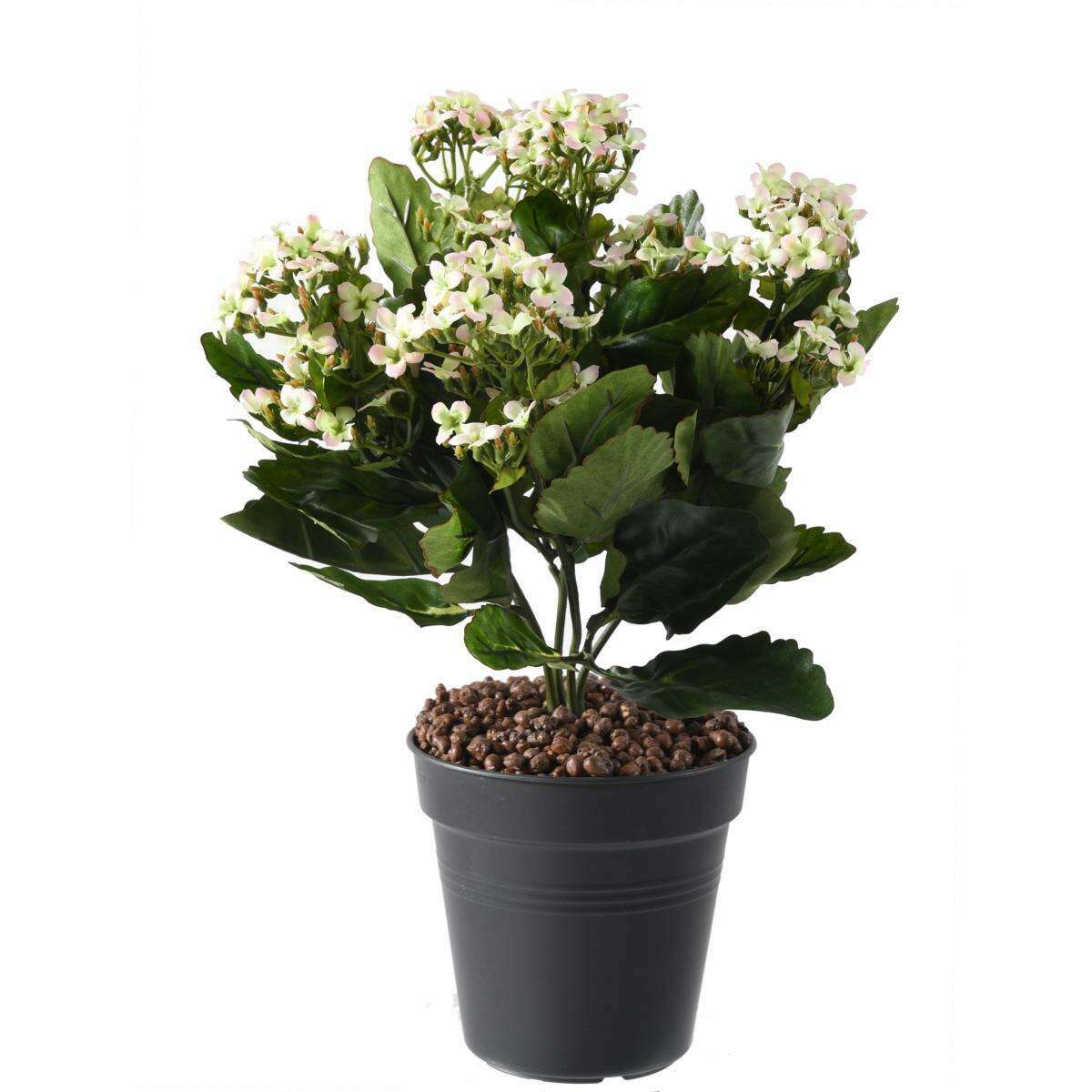 Fleurs artificielles Kalanchoe - plante en piquet - H.25cm rose clair - I2