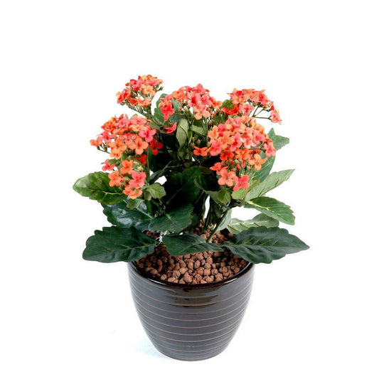 Fleurs artificielles Kalanchoe - plante en piquet - H.25cm pêche I2