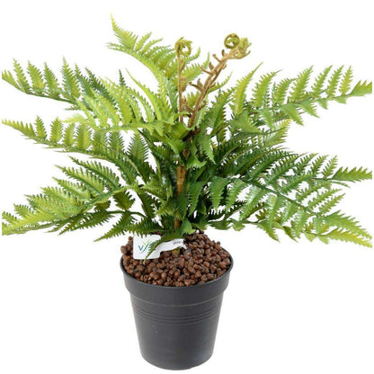 Fougère artificielle en piquet 12 branches - plante extérieur - H.50cm vert - F5